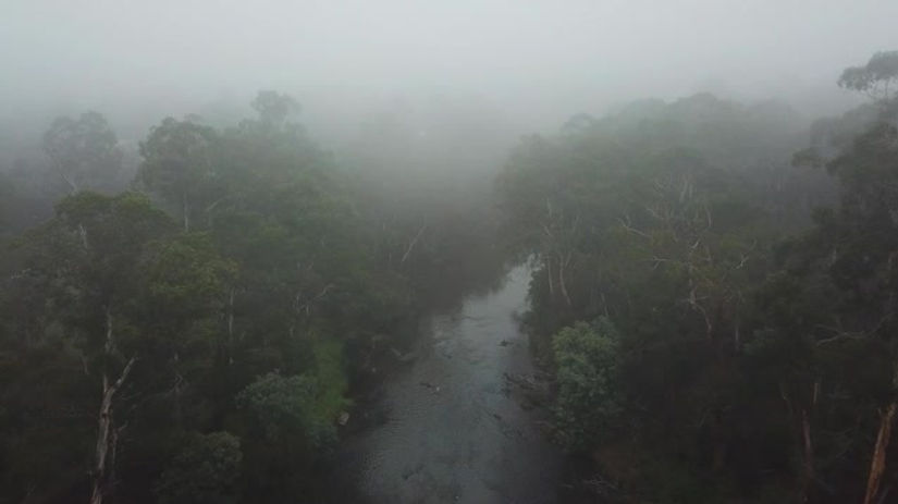 Clip 8 - Upper Yarra